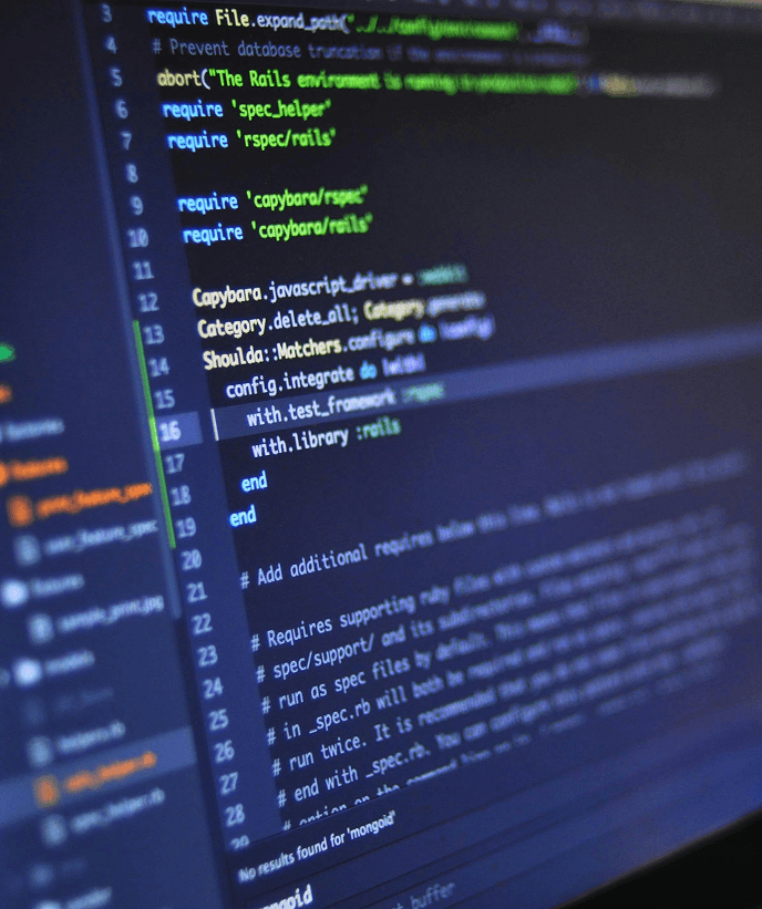 Software Development project image